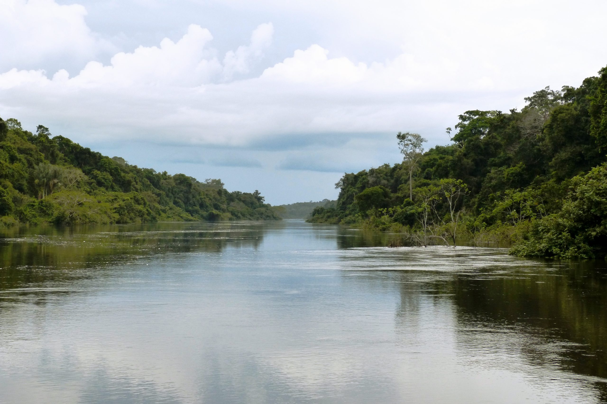 Inscrições abertas para o Prêmio Nacional da Biodiversidade