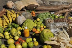 Agricultura familiar tem previsão de investimento de R$ 260 milhões para 2017