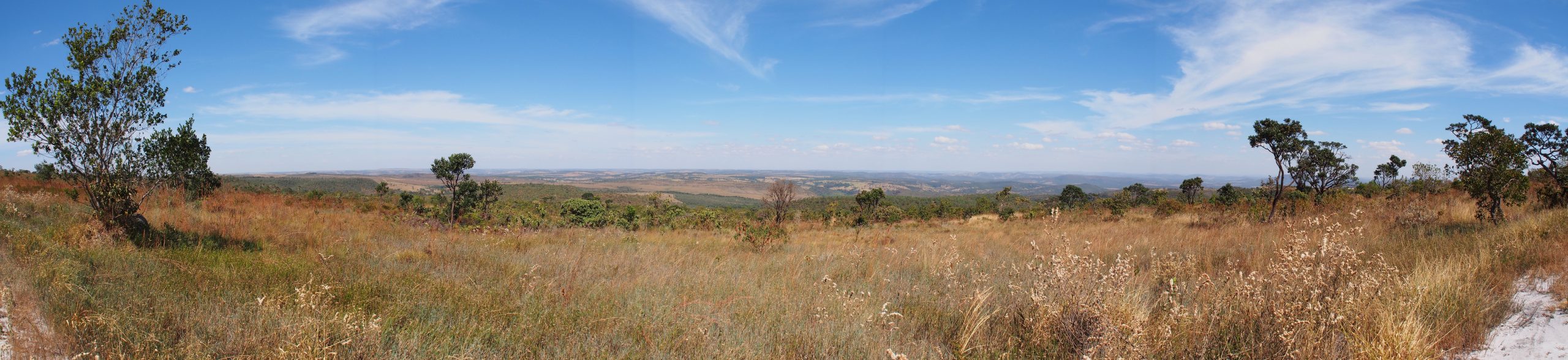 Equipe do CEPF Cerrado fará divulgação do seu 2o edital nos estados de Tocantins, Mato Grosso e Maranhão