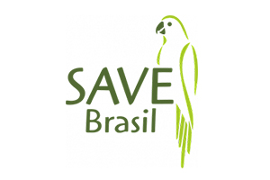 Salvando a rolinha-do-planalto (Columbina cyanopis) e seu habitat único no Cerrado