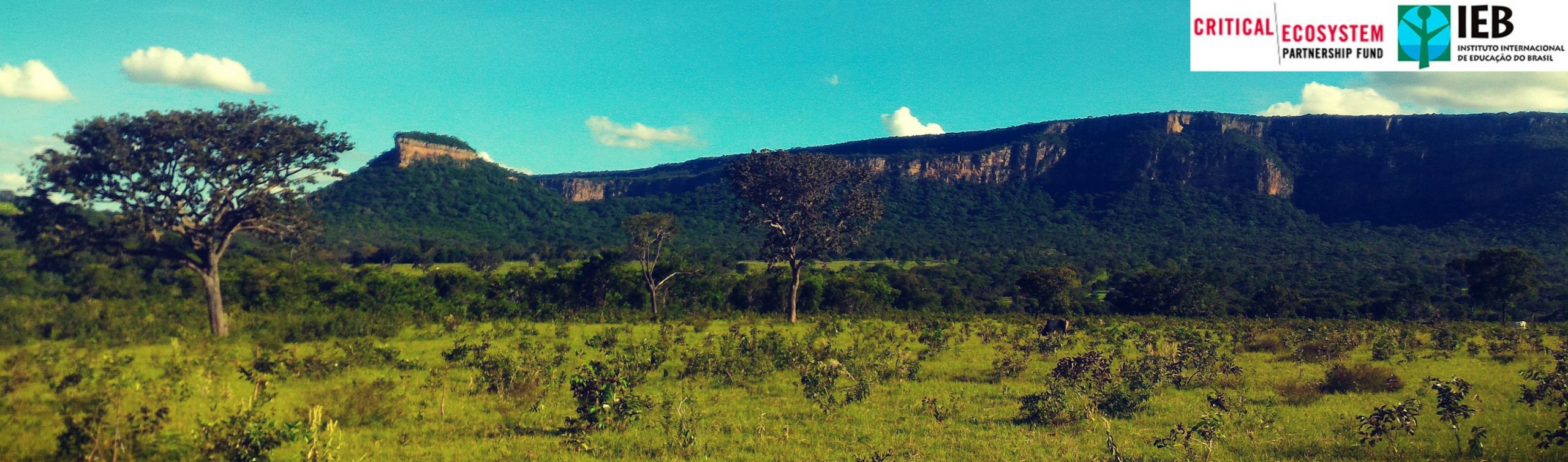 Instituto Mamede e WWF-Brasil promovem formação em ecoturismo com comunidades do MS
