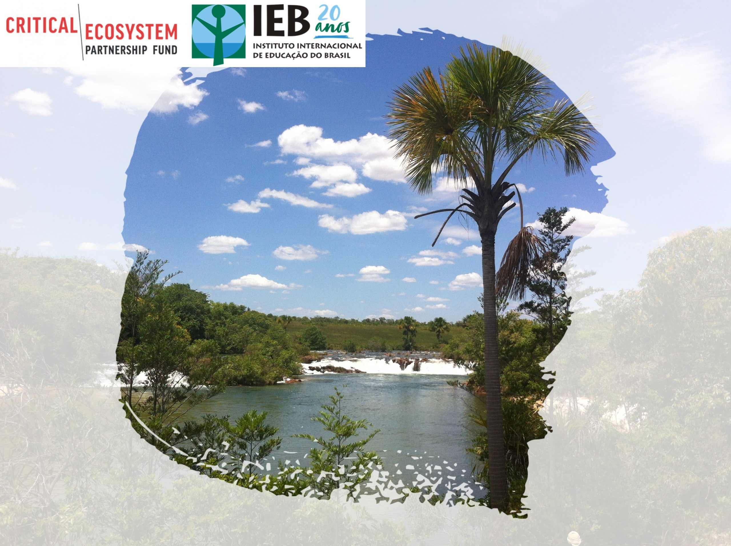 CEPF Cerrado e IEB selecionam 5 projetos para Pequenos Apoios na 3a Chamada para Cartas de Intenção 2018