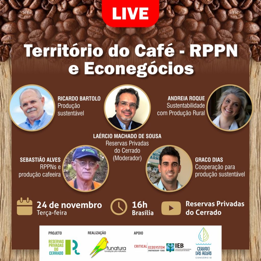 Encontro online vai debater produção sustentável do café