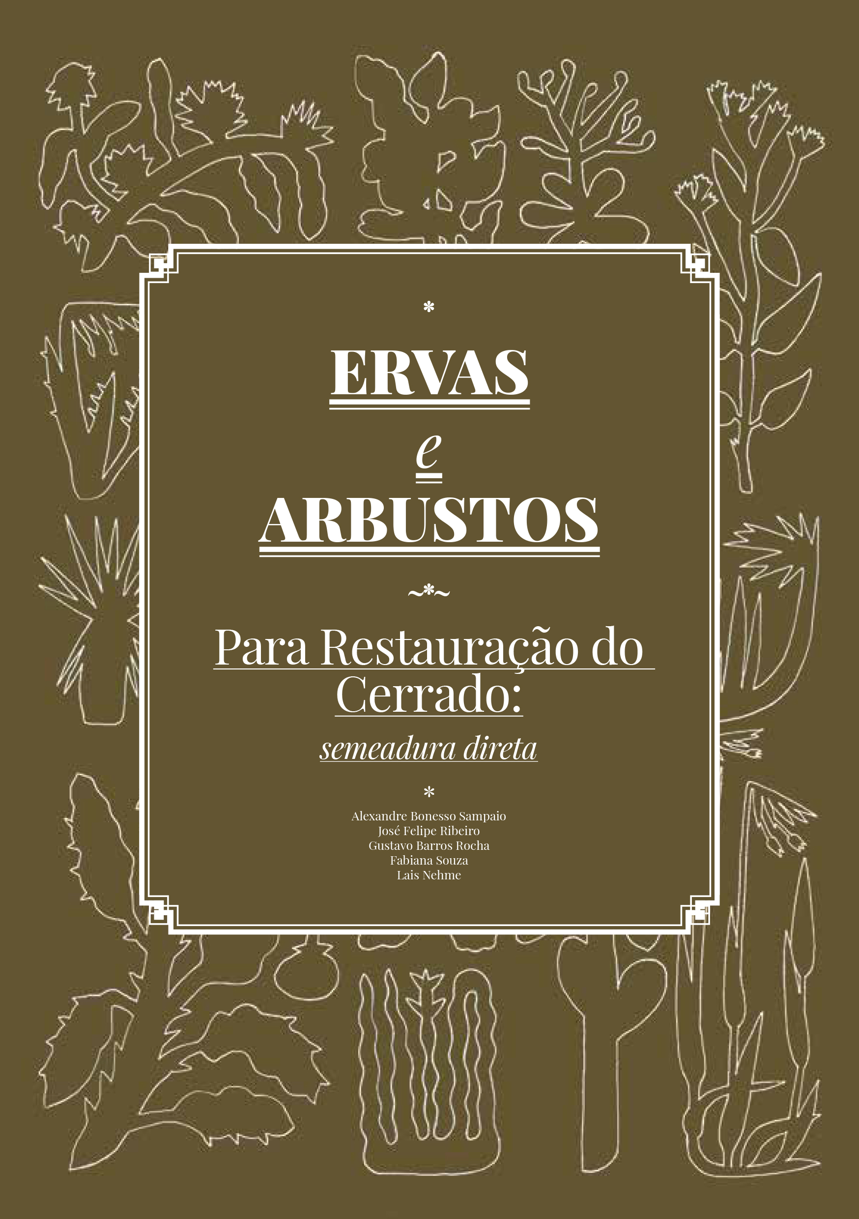 Ervas e arbustos para restauração do Cerrado: semeadura direta