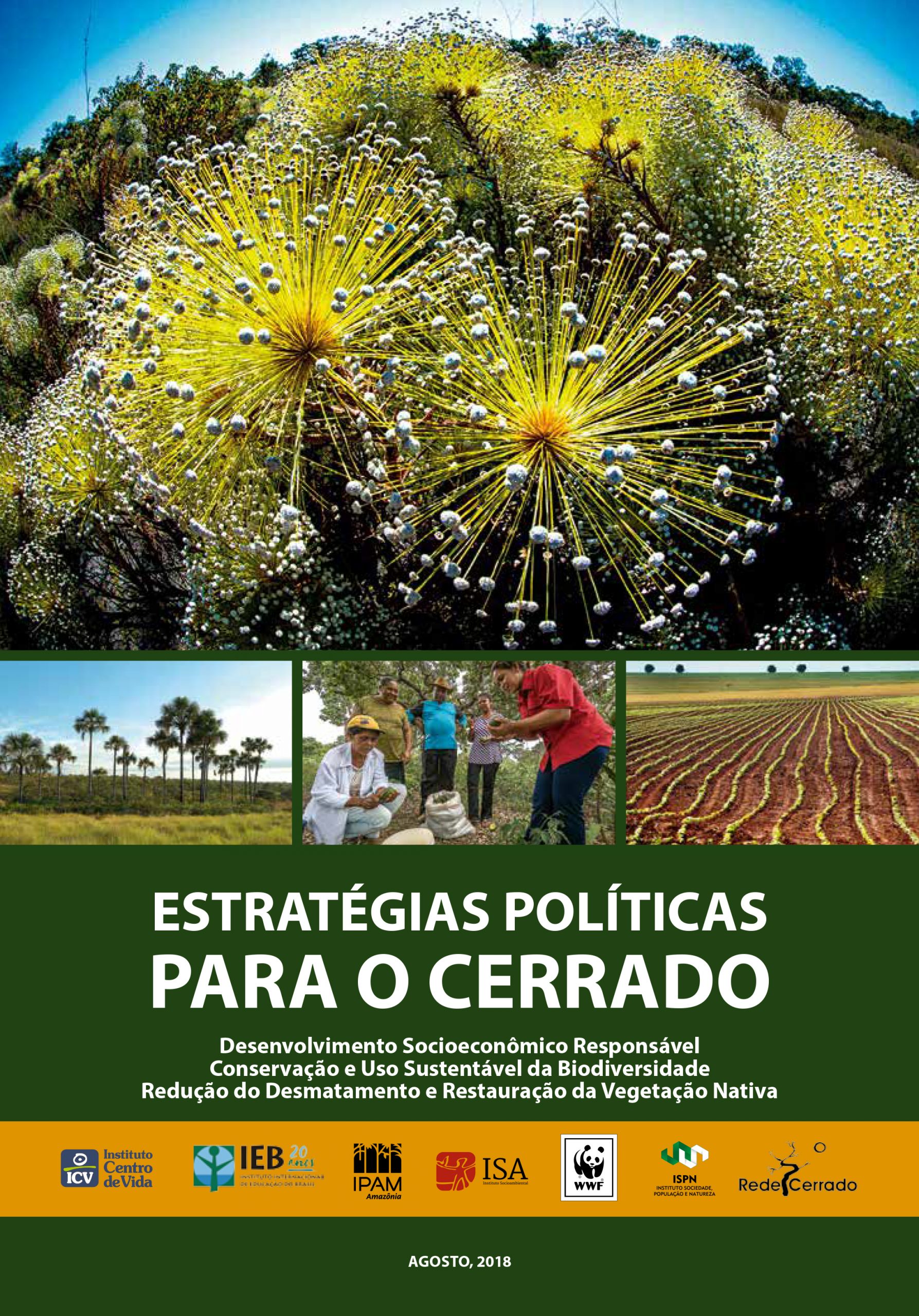 Estratégias Políticas para o Cerrado