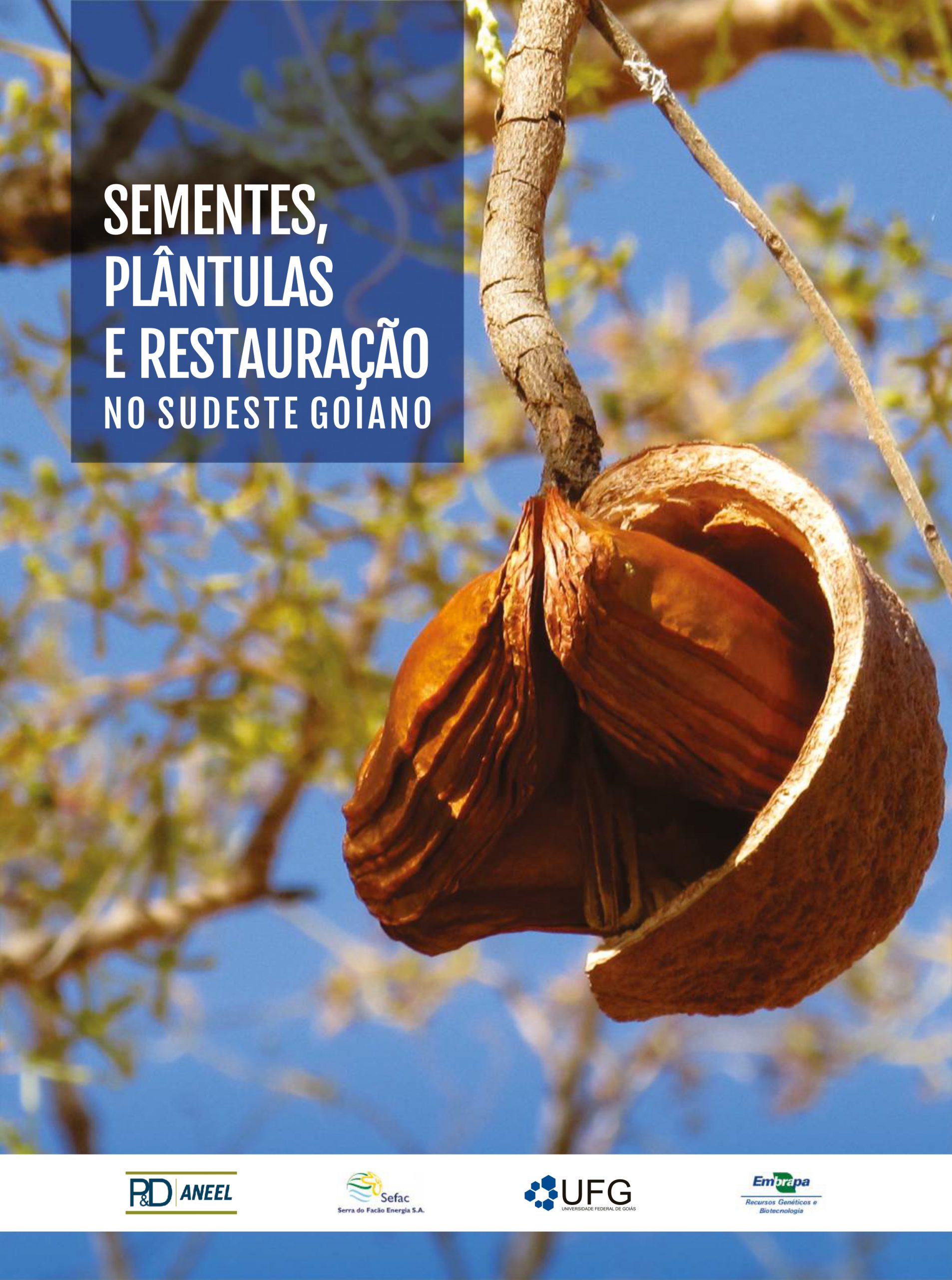 Sementes, plântulas e restauração