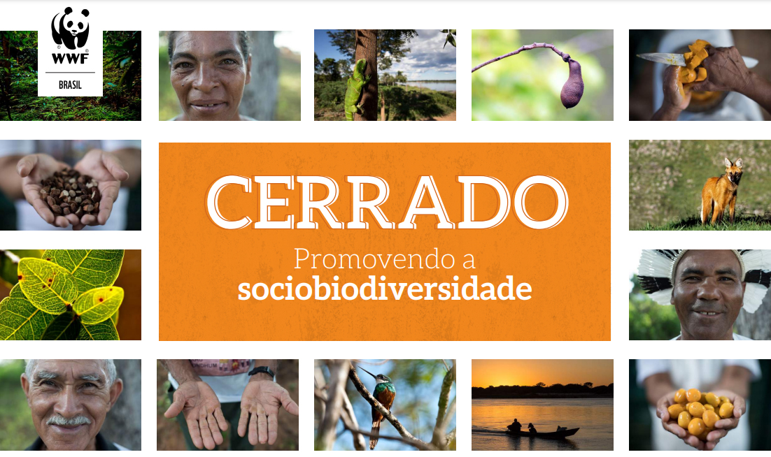 Cerrado: promovendo a sociobiodiversidade