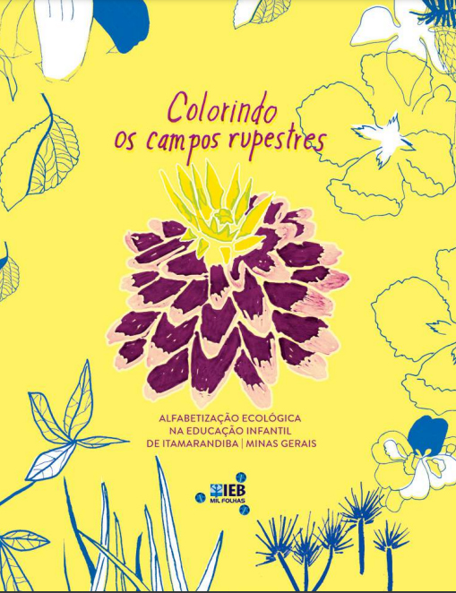 Colorindo os campos rupestres: Alfabetização ecológica na educação infantil de Itamarandiba – Minas Gerais