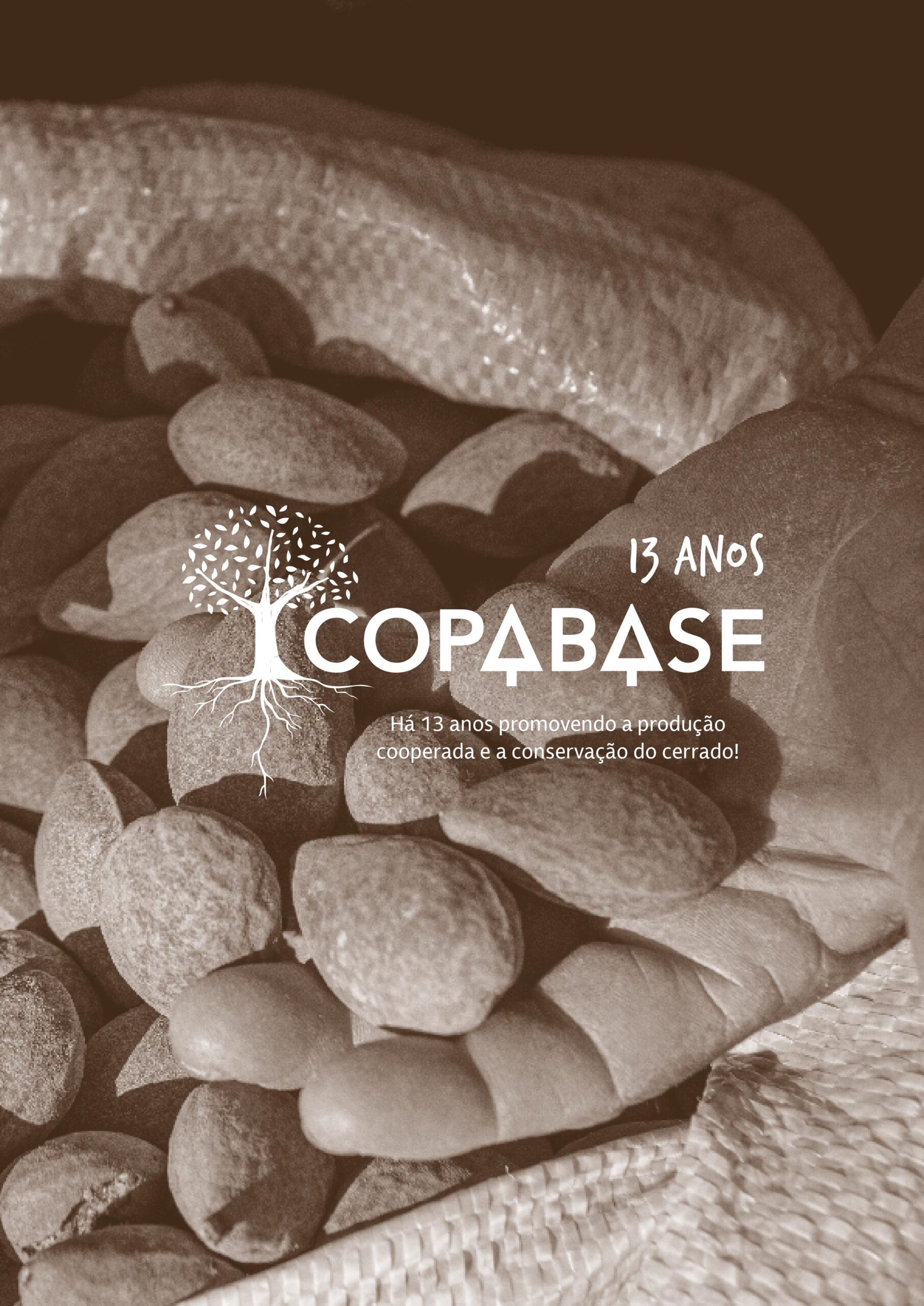 Copabase: 13 anos promovendo a produção cooperada e a conservação do Cerrado