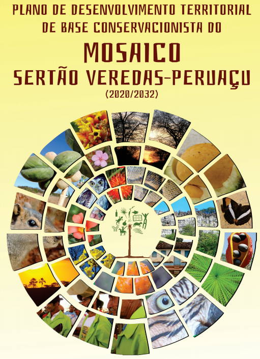 Plano de Desenvolvimento Territorial de Base Conservacionista (DTBC) do Mosaico Sertão Veredas-Peruaçu