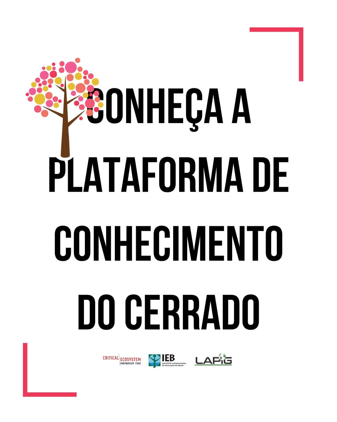 Plataforma de Conhecimento do Cerrado: uma ferramenta de gestão social e ambiental