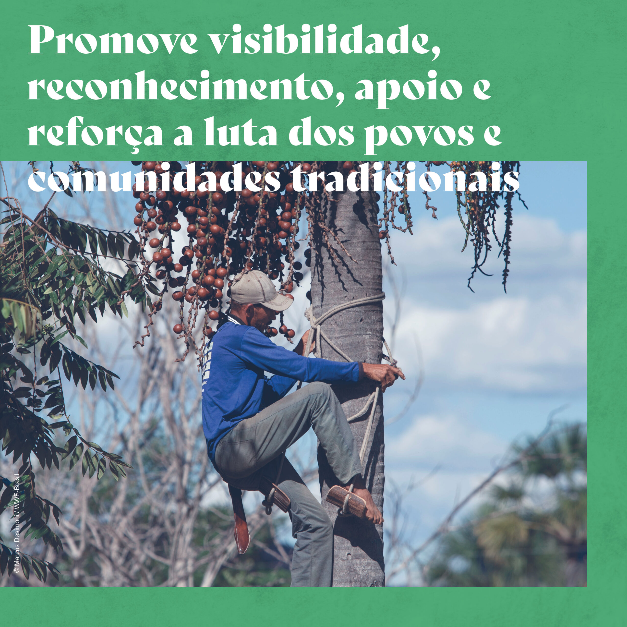TICCAS: reconhecimento para os territórios tradicionais