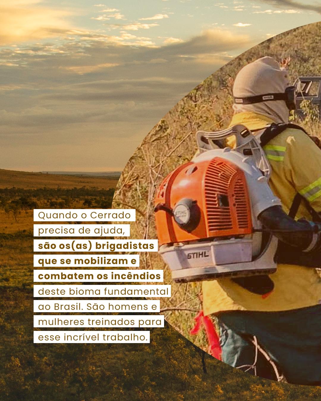 Campanha reforça a importância das brigadas voluntárias para a prevenção de incêndios no Cerrado