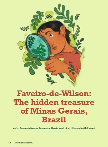 Faveiro-de-wilson: o tesouro escondido de Minas Gerais