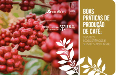 Boas Práticas de Produção de Café: Serviços Ecossistêmicos e Ambientais