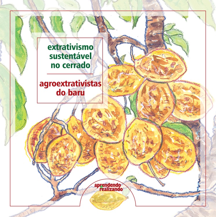 Extrativismo Sustentável no Cerrado: agroextrativistas do baru
