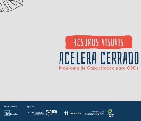 Acelera Cerrado: Programa de Capacitação para OSCs