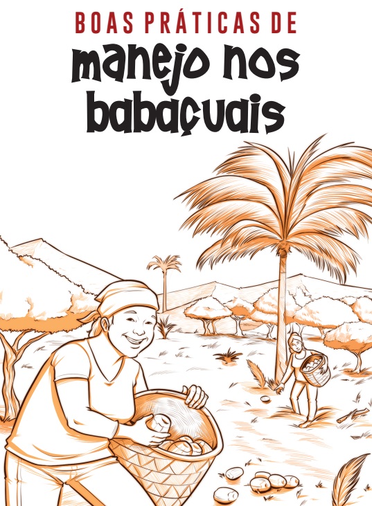 Boas Práticas de Manejo nos Babaçuais