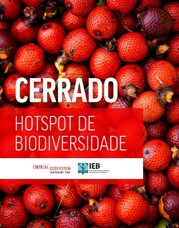 Publicação traz histórias de sucesso sobre iniciativas de proteção ao Cerrado