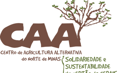 Fortalecimento dos Circuitos Econômicos da Sociobiodiversidade Geraizeira