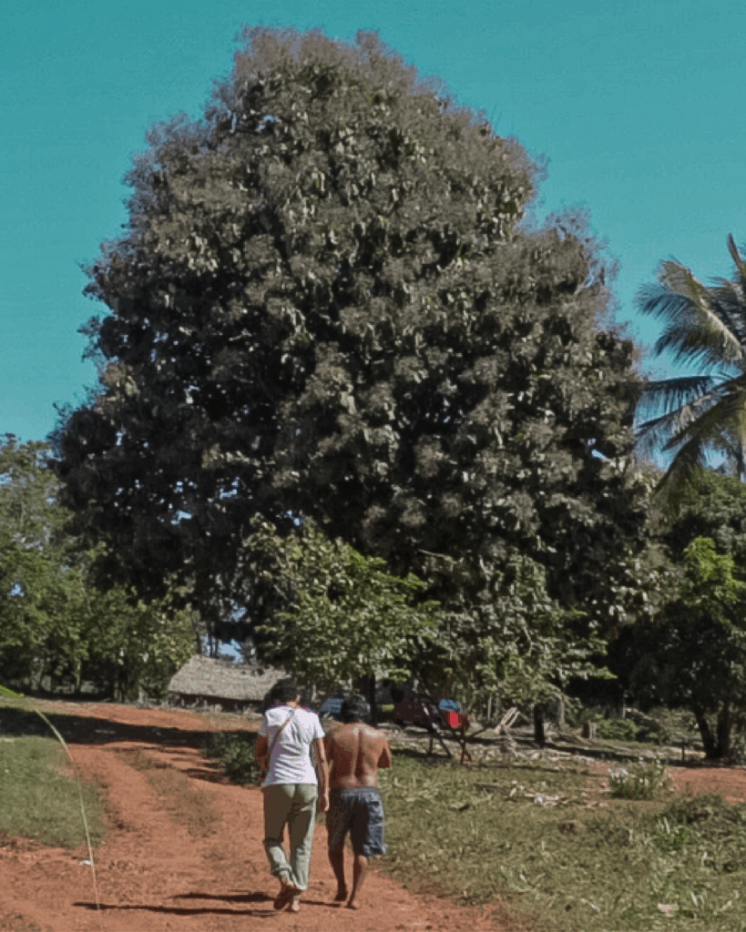Duas pessoas caminham por uma estrada de terra em área rural. Uma veste camiseta branca e calça verde; a outra está sem camisa e usa shorts. Ao fundo, há árvores e uma construção com telhado de palha, cercadas por vegetação típica do Cerrado.