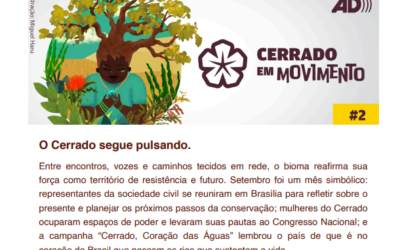 Boletim Cerrado em Movimento #2 – Novembro 2025
