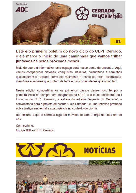 Boletim Cerrado em Movimento #1 – Julho 2025