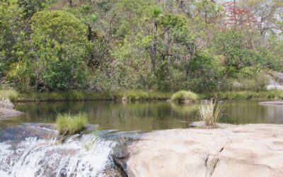 Rio Almas Vivo: a força das águas e das mulheres de Cavalcante