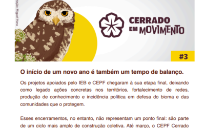 Boletim Cerrado em Movimento #3 – Janeiro 2026