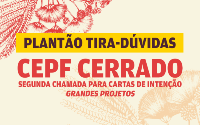 CEPF Cerrado realiza plantão tira-dúvidas para apoiar organizações interessadas na chamada aberta