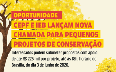 CEPF e IEB lançam chamada para pequenos projetos de conservação no hotspot Cerrado