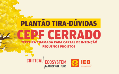 IEB realiza novo plantão tira-dúvidas para apoiar organizações interessadas na 3ª chamada do CEPF Cerrado 